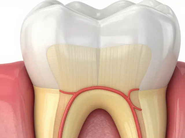Co je dentin? Struktura, funkce a ochrana při keramickém onlay
